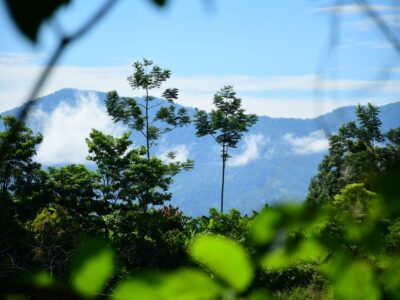 Home 05062026